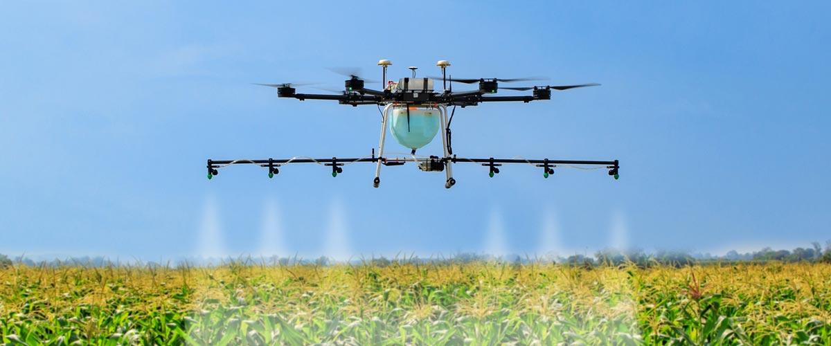 Drone pesticide spraying